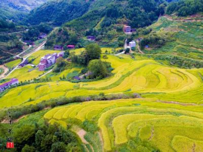 轉(zhuǎn)載‖特種藥肥：藥肥企業(yè)從大田走向經(jīng)作的一把利劍！
