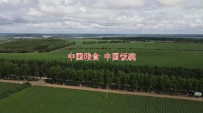 端牢中國(guó)飯碗，歡慶第42個(gè)世界糧食日！