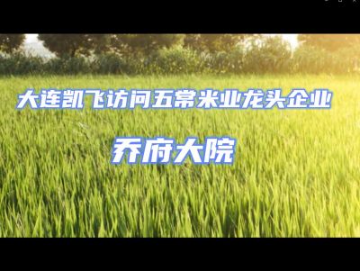 大連凱飛訪問(wèn)五常米業(yè)龍頭企業(yè)喬府大院