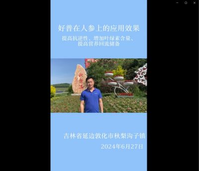 提高抗逆性、增加葉綠素含量、提高營養(yǎng)回流儲備:吉林省敦化市（2024.6.27）